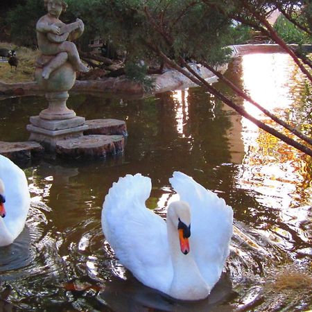 Pheasant Hill Bed And Breakfast Rietvalleirand Экстерьер фото